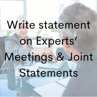 Write statement on Experts' Meetings and Joint Statements