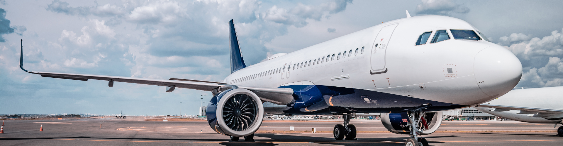 EWI Governor on the legal roles of an aviation expert