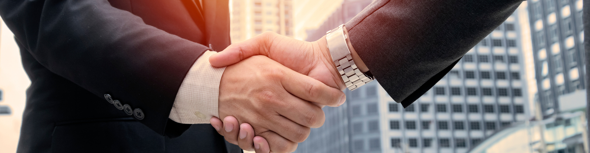 A Joint Meeting Agenda from the other side’s expert contains questions querying my expertise and suitability for the case