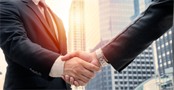 A Joint Meeting Agenda from the other side’s expert contains questions querying my expertise and suitability for the case