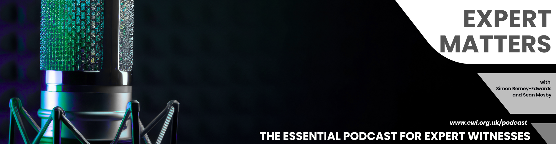 Podcast Episode 1: Welcome to the Expert Matters Podcast