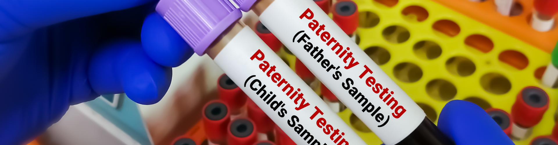Jonathan Ewan Marcus v Edward Quintin Marcus [2024] EWHC 2086 (Ch)