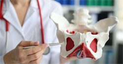 Philipa Hodgson v Dr Daniel Hammond & Anor [2025] EWHC 1261 (KB)