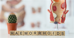 Ms Julia Tosh v Mr Vivek Gupta [2025] EWHC 2025 (KB)