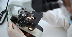 What caused the holidaymaker’s gastroenteritis?