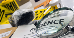 Is bite mark evidence admissible?