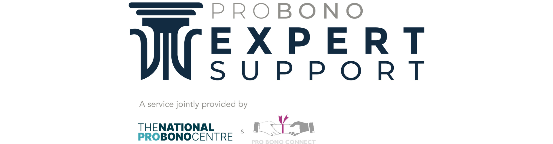 EWI partnership with the Pro Bono Expert Support Scheme