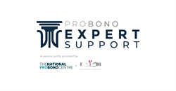 EWI partnership with the Pro Bono Expert Support Scheme