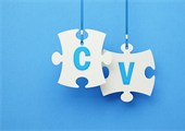 Your expert witness CV is not the same as a professional CV